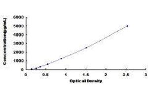 Procollagen II N-Terminal Propeptide (PIINP) ELISA Kit