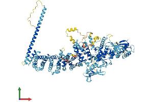 AlphaFold protein structure predicition of Human Recombinant UBE3C Protein, UniprotID Q15386