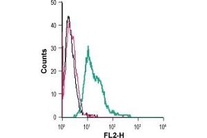 Cell surface detection of in live intact human  megakaryoblastic leukemia cells: + rabbit IgG isotype control-PE.