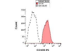 Surface staining of CD103 on PHA-activated PBMC with anti-CD103 (Ber-ACT8) PE. (CD103 抗体  (PE))