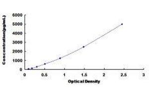 Glypican 1 (GPC1) ELISA Kit