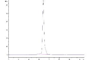Size-exclusion chromatography-High Pressure Liquid Chromatography (SEC-HPLC) image for Tumor Necrosis Factor (Ligand) Superfamily, Member 14 (TNFSF14) (AA 74-240) protein (Fc Tag) (ABIN7275149)