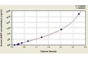 Typical standard curve (BAFF ELISA 试剂盒)