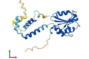 AlphaFold protein structure predicition of Human Recombinant PDC Protein, UniprotID P20941