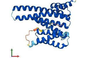 Protein Structure (PS) image for 14-3-3 epsilon (YWHAE) (AA 1-255) protein (His tag) (ABIN7551862)