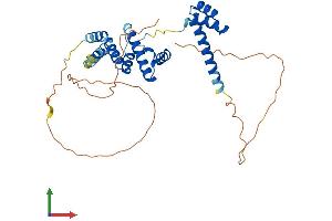 Protein Structure (PS) image for Sine Oculis-Related Homeobox 3 (SIX3) (AA 1-332) protein (His tag) (ABIN7555495)
