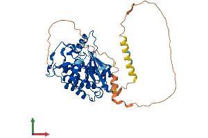 Protein Structure (PS) image for Casein Kinase 1, epsilon (CSNK1E) (AA 1-416) protein (His tag) (ABIN7561718)
