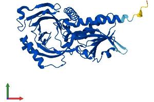 Protein Structure (PS) image for D-Amino-Acid Oxidase (DAO) (AA 1-345) protein (His tag) (ABIN7562932)