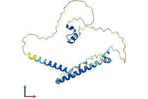 AlphaFold protein structure predicition of Human Recombinant LIN37 Protein, UniprotID Q96GY3