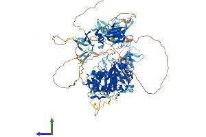 Protein Structure (PS) image for Cylindromatosis (Turban Tumor Syndrome) (CYLD) (AA 1-956) protein (His tag) (ABIN7553609)