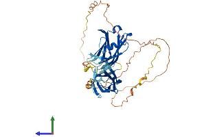 Protein Structure (PS) image for Synaptotagmin XIII (SYT13) (AA 1-426) protein (His tag) (ABIN7544093)