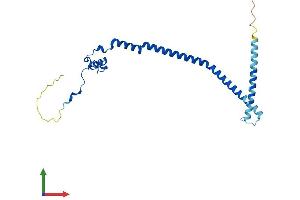 Protein Structure (PS) image for Growth Arrest and DNA-Damage-Inducible, gamma Interacting Protein 1 (GADD45GIP1) (AA 1-222) protein (His tag) (ABIN7547880)