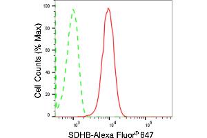 Flow cytometric analysis of SDHB expression in HepG2 cells using SDHB antibody (ABIN7800454), 1:2,000). (Recombinant SDHB 抗体)