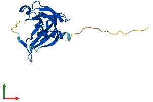 Protein Structure (PS) image for Nudix (Nucleoside Diphosphate Linked Moiety X)-Type Motif 11 (NUDT11) (AA 1-164) protein (His tag) (ABIN7549996)