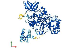 AlphaFold protein structure predicition of Mouse Recombinant Pole2 Protein, UniprotID O54956 (POLE2 Protein (AA 1-527) (His tag))