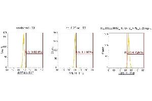 Flow Cytometry (FACS) image for anti-Keratin 8 (KRT8) (AA 1-483) antibody (PE) (ABIN5567068)