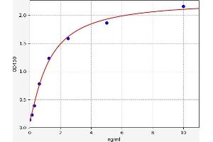 Secretogranin III (SCG3) ELISA Kit