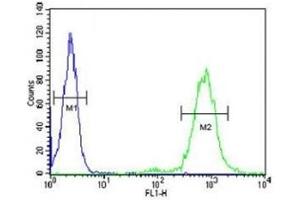 CD69 antibody flow cytometric analysis of HL-60 cells (right histogram) compared to a negative control (left histogram). (CD69 抗体  (AA 119-148))