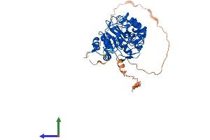 Protein Structure (PS) image for S-Phase Kinase-Associated Protein 2 (SKP2) (AA 1-424) protein (His tag) (ABIN7555572)