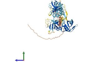 Protein Structure (PS) image for Thymocyte Selection Associated (THEMIS) (AA 1-636) protein (His tag) (ABIN7564347)