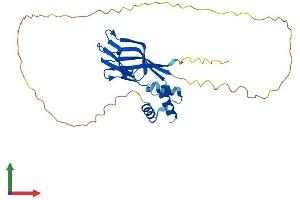 AlphaFold protein structure predicition of Mouse Recombinant Npm1 Protein, UniprotID Q61937
