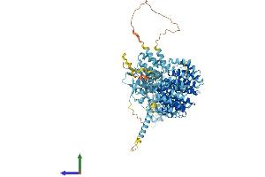 Protein Structure (PS) image for Proteasome (Prosome, Macropain) 26S Subunit, Non-ATPase, 1 (PSMD1) (AA 1-953) protein (His tag) (ABIN7563680)
