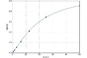 Glutamic-Oxaloacetic Transaminase 2, Mitochondrial (Aspartate Aminotransferase 2) (GOT2) ELISA Kit