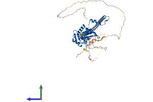 Protein Structure (PS) image for Paraspeckle Component 1 (PSPC1) (AA 1-523) protein (His tag) (ABIN7559722)
