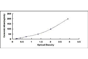 Typical standard curve (Histone H2B ELISA 试剂盒)