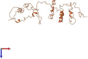AlphaFold protein structure predicition of Human Recombinant KRTAP9-1 Protein, UniprotID A8MXZ3