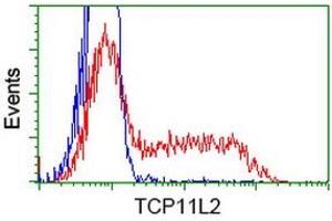 HEK293T cells transfected with either RC207129 overexpress plasmid (Red) or empty vector control plasmid (Blue) were immunostained by anti-TCP11L2 antibody (ABIN2453718), and then analyzed by flow cytometry. (TCP11L2 抗体)