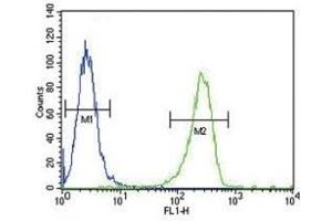 TPA antibody flow cytometric analysis of A2058 cells (green) compared to a negative control (blue). (PLAT 抗体  (AA 371-399))