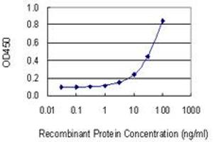 Detection limit for recombinant GST tagged CD59 is 1 ng/ml as a capture antibody. (CD59 抗体  (AA 1-128))