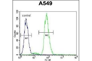 RAD17 Antibody (Center) (ABIN655646 and ABIN2845122) flow cytometric analysis of A549 cells (right histogram) compared to a negative control cell (left histogram). (RAD17 抗体  (AA 218-246))