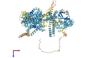 Solute Carrier Family 9, Subfamily C (Na+-Transporting Carboxylic Acid Decarboxylase), Member 1 (SLC9C1) (AA 1-1175) protein (His tag)