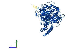 Protein Structure (PS) image for N-Acetylated alpha-Linked Acidic Dipeptidase 2 (NAALAD2) (AA 1-740) protein (His tag) (ABIN7560798)