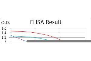 Figure 1: Red: Control Antigen (100 ng), Purple: Antigen (10ng), Green: Antigen (50 ng), Blue: Antigen (100 ng) (COTL1 抗体)