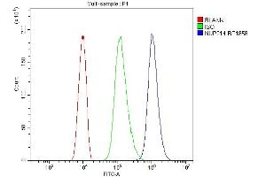 Flow Cytometry analysis of HL-60 cells using anti-NUP214 antibody (ABIN7601473). (NUP214 抗体  (AA 36-374))