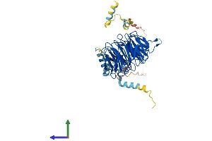 Protein Structure (PS) image for Cell Division Cycle 20 Homolog (S. Cerevisiae) (CDC20) (AA 1-499) protein (His tag) (ABIN7565098)