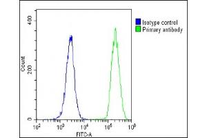 Overlay histogram showing U-2 OS cells stained with (ABIN1537519 and ABIN2848791)(green line). (MT-ND4L 抗体  (C-Term))