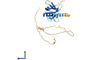 AlphaFold protein structure predicition of Mouse Recombinant Necap1 Protein, UniprotID Q9CR95