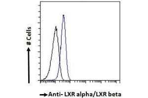 ABIN185294 Flow cytometric analysis of paraformaldehyde fixed A549 cells (blue line), permeabilized with 0.