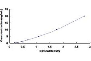 Typical standard curve (SYNRG ELISA 试剂盒)