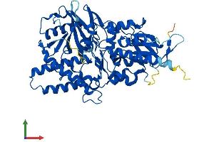 Protein Structure (PS) image for Polyamine Oxidase (Exo-N4-Amino) (PAOX) (AA 1-504) protein (His tag) (ABIN7559076)