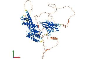 Protein Structure (PS) image for Spermatid Perinuclear RNA Binding Protein (STRBP) (AA 1-672) protein (His tag) (ABIN7564803)