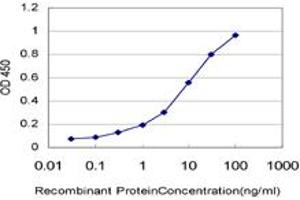 Detection limit for recombinant GST tagged ARAF is approximately 0. (ARAF 抗体  (AA 151-250))