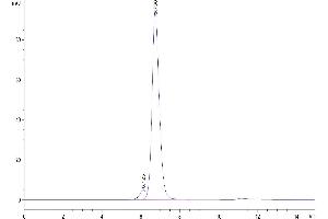 The purity of Rhesus macaque HLA-G complex Tetramer is greater than 95 % as determined by SEC-HPLC. (HLAG Protein (AA 25-305, Tetramer) (His-Avi Tag,Peptide (RIIPRHLQL)))