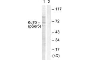 Western blot analysis of extracts from HeLa cells, using Ku70 (Phospho-Ser5) Antibody. (XRCC6 抗体  (pSer5))