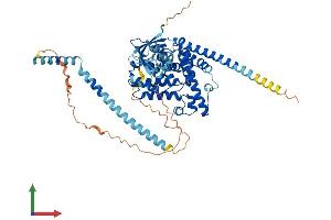 Protein Structure (PS) image for phosphodiesterase 9A (PDE9A) (AA 1-593) protein (His tag) (ABIN7554906)