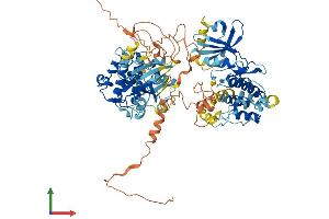AlphaFold protein structure predicition of Human Recombinant RPS6KA4 Protein, UniprotID O75676